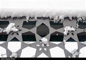 بارش برف در پایتخت