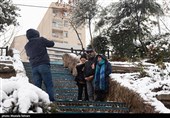 بارش برف در پایتخت