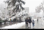 بارش برف در پایتخت