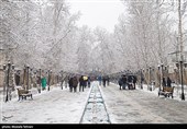بارش برف در پایتخت