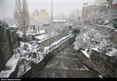 بارش برف در پایتخت
