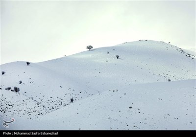 بارش برف در منطقه گریت خرم آباد