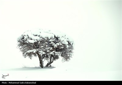 بارش برف در منطقه گریت خرم آباد