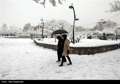 بارش برف در مشهد