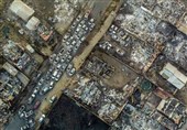 51 کشته بر اثر آتش سوزی در جنگل‌های مرکزی شیلی/ خطر سرایت آتش به مناطق شهری