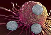 دستاورد جدید ایران در درمان سلول‌های سرطانی
