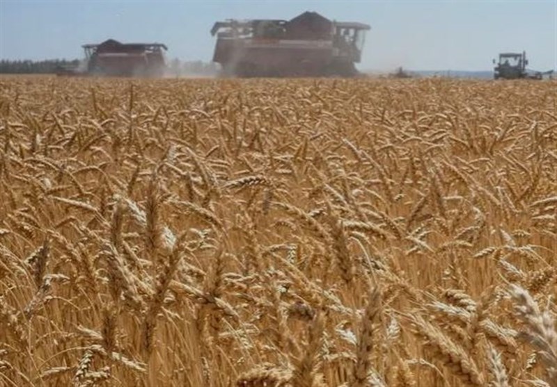 Iran Importing about 3 Million Tons of Russian Grain Annually