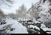 بارش برف در گنجنامه همدان
