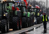 خشم کی‌یف از نابودی بیش از 160 تن غله اوکراینی توسط کشاورزان معترض لهستانی