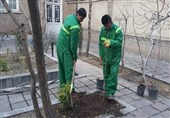 نهضت درختکاری در مرکز شهر با اهدای‌ نهال‌ رایگان درختان مثمر
