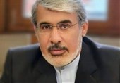 Iran to Be Voice of Palestine in UNHRC Meeting: Envoy