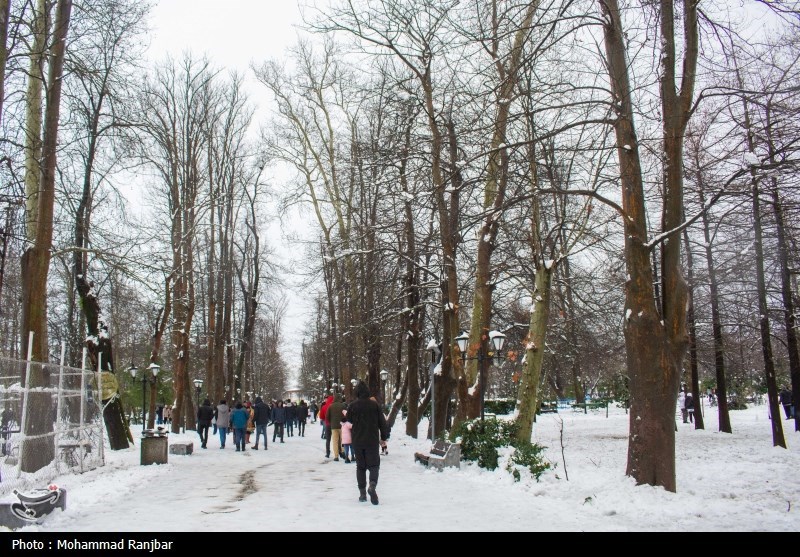 بارش‌ برف و باران در تهران تا روز پنج‌شنبه