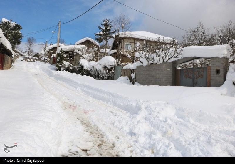 بارش برف بهاری کردستان را سفیدپوش کرد + فیلم