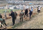 کاشت 500 هزار اصله نهال توسط سپاه در کردستان