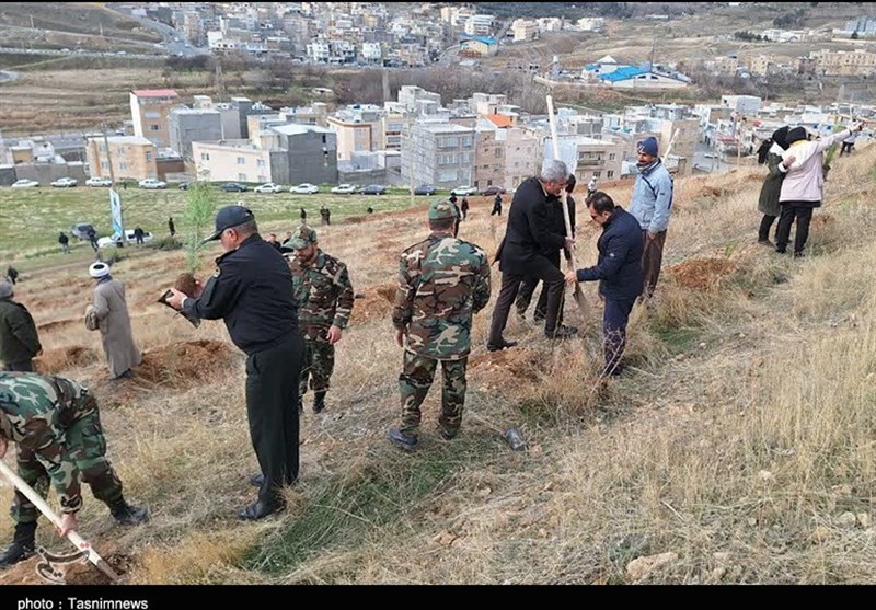 کاشت 500 هزار اصله نهال توسط سپاه در کردستان