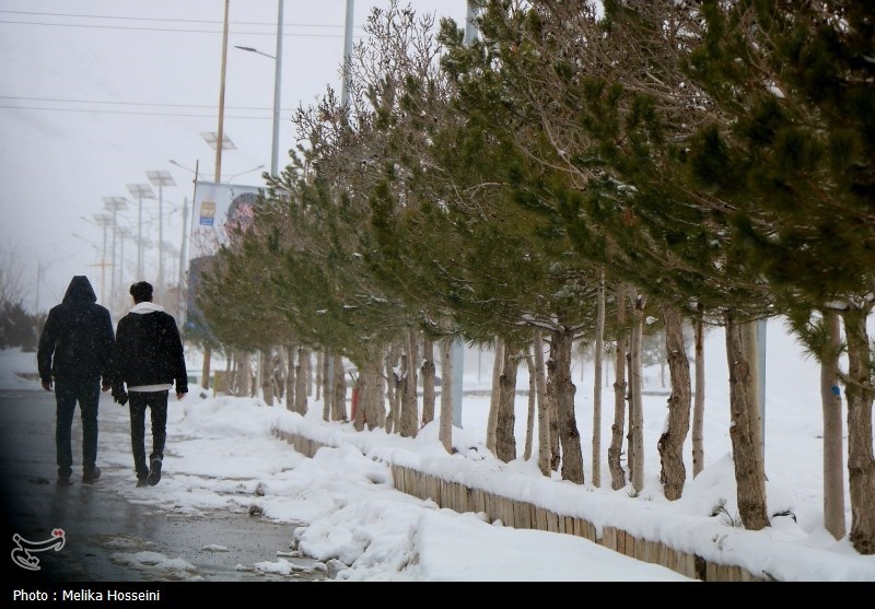 هشدار زرد هواشناسی استان سمنان؛ لغزندگی و کولاک برف برای نواحی شمالی و گردنه‌های برف‌گیر
