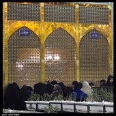 حرم مطهر امام رضا (ع)