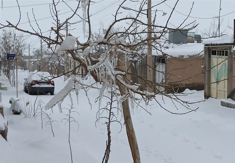 بارش برف در نقاط مختلف استان یزد/ کویر ایران هم سفیدپوش شد + فیلم