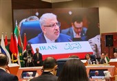 Iran Oil Minister: Global Gas Industry Development Requires Depoliticizing Energy Trade