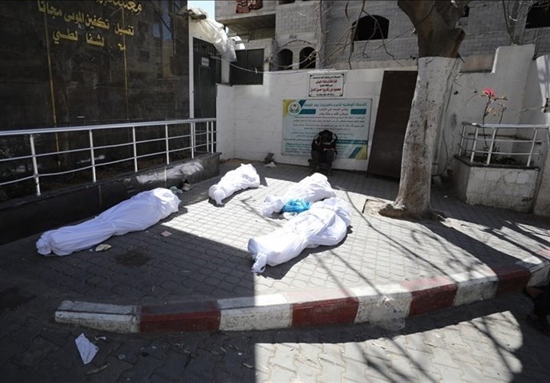 Israeli Attacks on Homes Leave 17 Dead in Gaza
