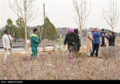 آیین کاشت نهال صلح و دوستی دیپلماتیک