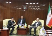 Iran to Expand Electricity Exchange with Neighbors: Energy Minister