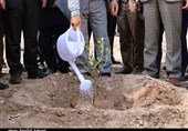 دعوت استاندار یزد از کشورهای عضو اکو؛ به احترام زنان و کودکان مظلوم غزه درخت بکاریم