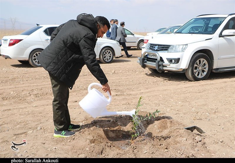 استان کرمان , روز درختکاری , 