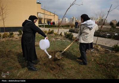 مراسم روز درختکاری درهمدان