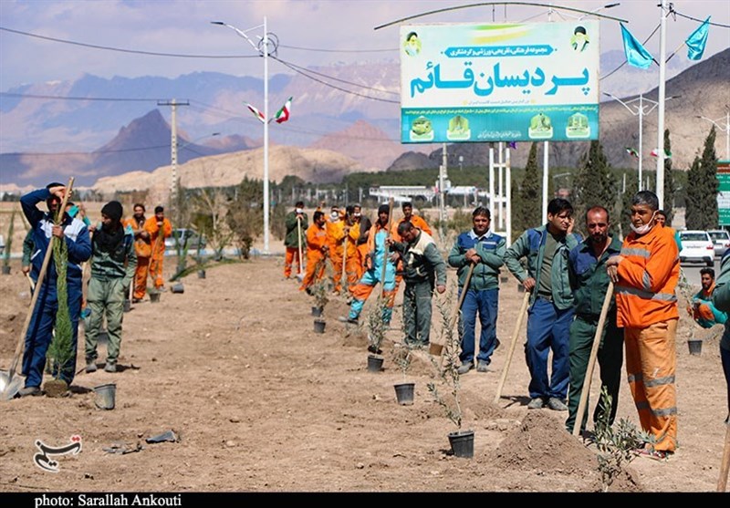 کاشت درخت به یاد شهدای انفجار تروریستی در کرمان + تصویر