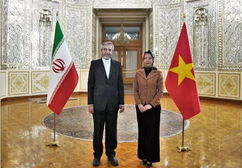 Iran, Vietnam Hold Political Talks in Tehran