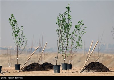 نشست خبری معاونت خدمات‌ شهری‌ و‌ محیط‌ زیست شهرداری تهران