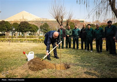 کاشت 2 نهال مثمر توسط قالیباف به مناسبت روز درختکاری