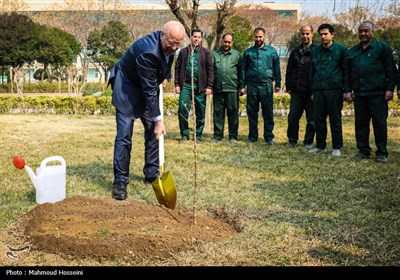 کاشت 2 نهال مثمر توسط قالیباف به مناسبت روز درختکاری