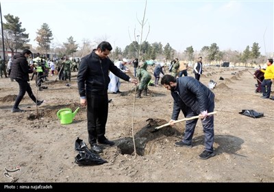 برگزاری مراسم درختکاری در بوستان جهانشهر-مشهد