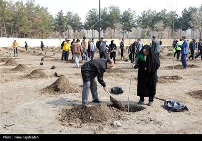 برگزاری مراسم درختکاری در بوستان جهانشهر-مشهد