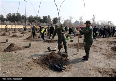 برگزاری مراسم درختکاری در بوستان جهانشهر-مشهد