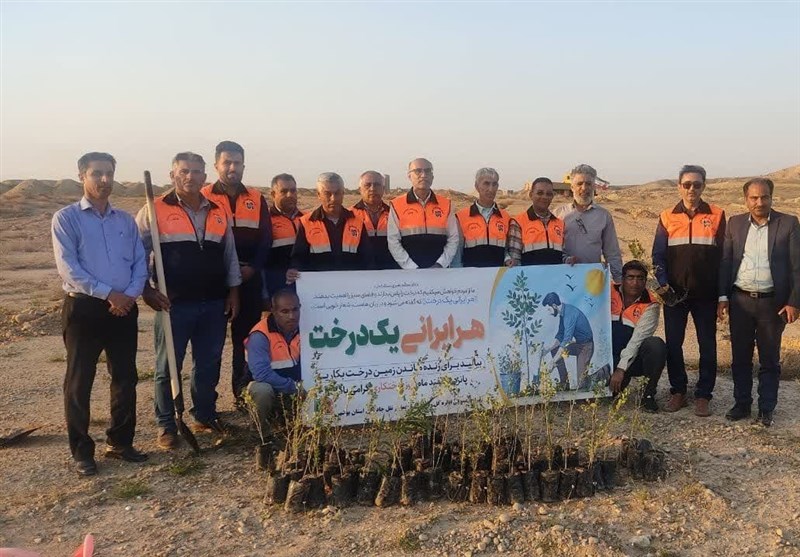 کاشت 37 هزار اصله نهال جنگلی در حاشیه جاده‌های استان بوشهر