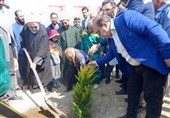 توزیع 20 هزار نهال در بین شهروندان اسلامشهر در هفته درختکاری