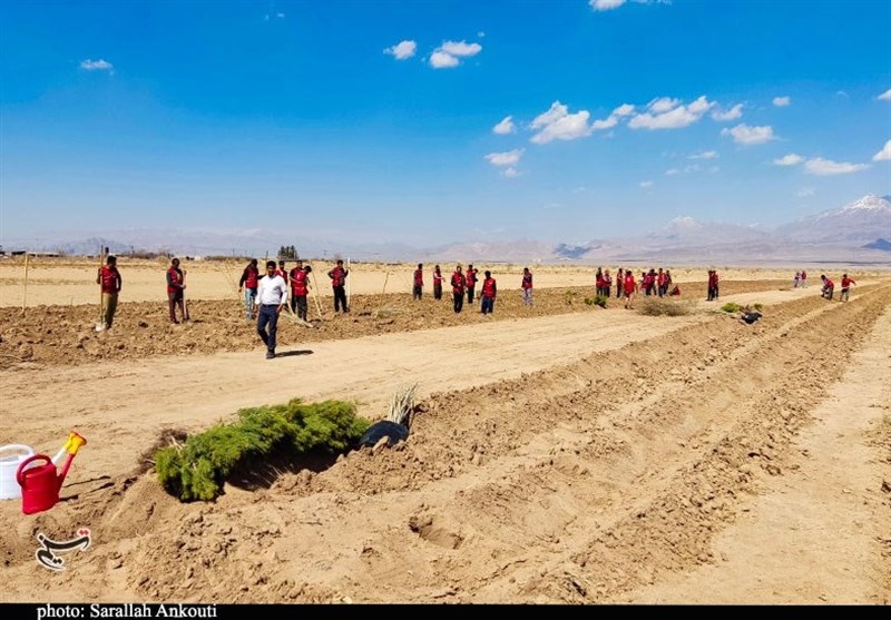 استان کرمان , روز درختکاری , قوه قضائیه , زندان , 