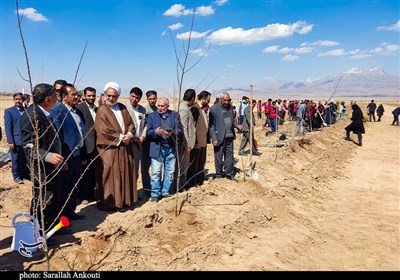 غرس 35 هزار نهال در کشت و صنعت بنیاد تعاون زندانیان کرمان + تصویر