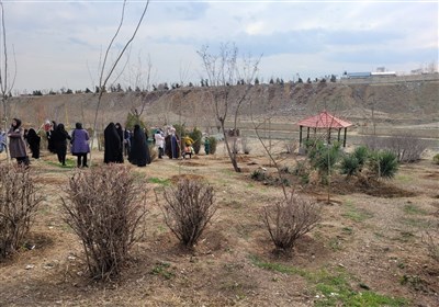 غرس درخت به پاسداشت مقام شهدا در غرب تهران