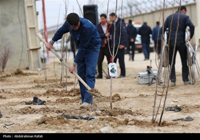 مراسم کاشت 20 هزار نهال در نیروگاه برق شهید مفتح همدان