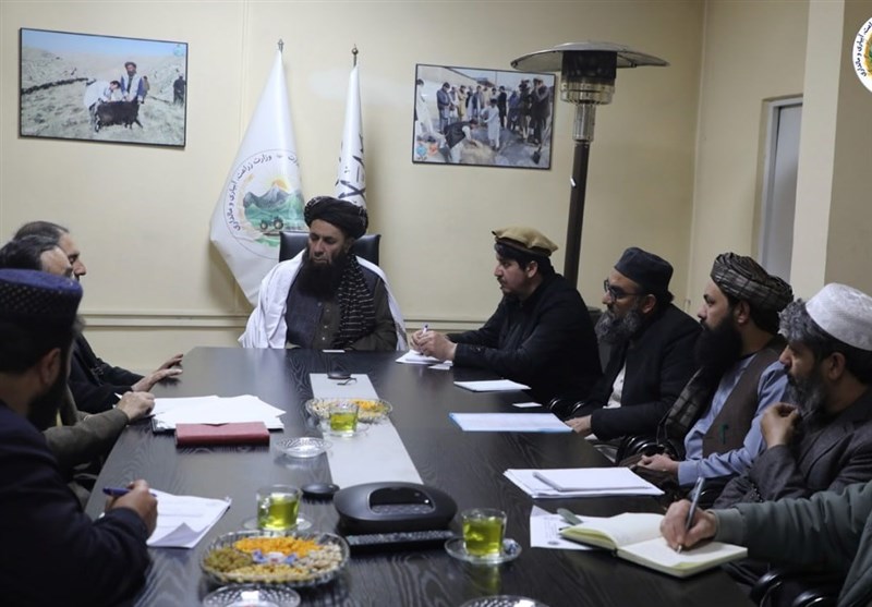 افغانستان و ایران همکاری‌ در عرصه کشاورزی را گسترش می‌دهند