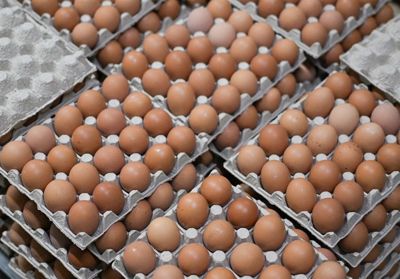 На российский рынок впервые поступит партия яиц из Ирана