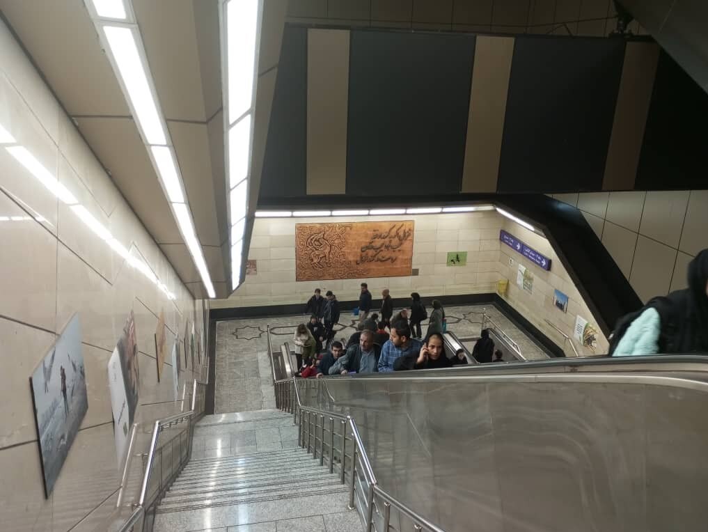 از دیدن این حیوانات در مترو تهران تعجب نکنید!