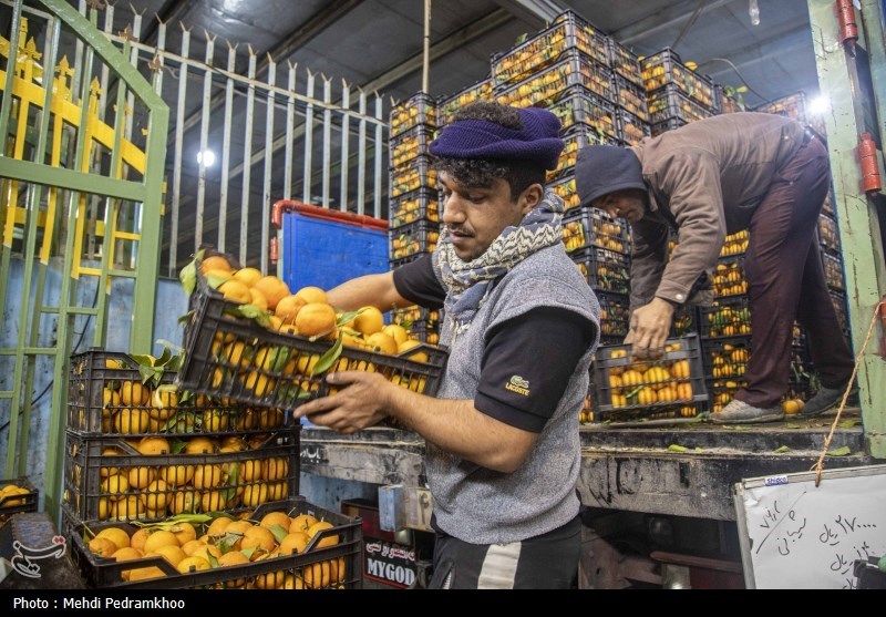 توزیع میوه شب عید در سیستان و بلوچستان آغاز شد