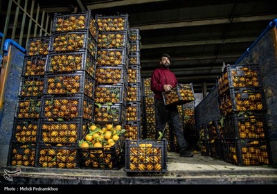 بازار میوه و تره بار اهواز در آستانه نوروز
