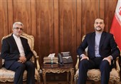 دیدار سفیر جدید ایران در نیجر با امیرعبداللهیان