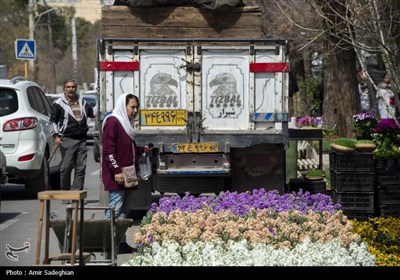 بازار گل و گیاه شیراز در آستانه نوروز